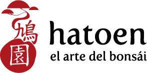 Hatoen — el arte del bonsái