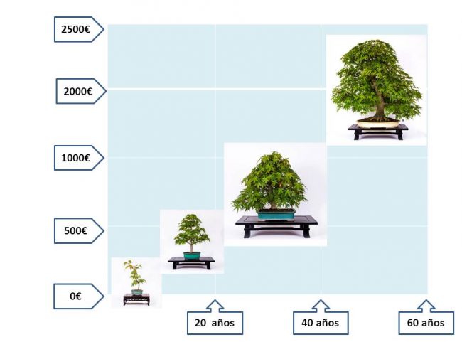 Expectativas y realidad