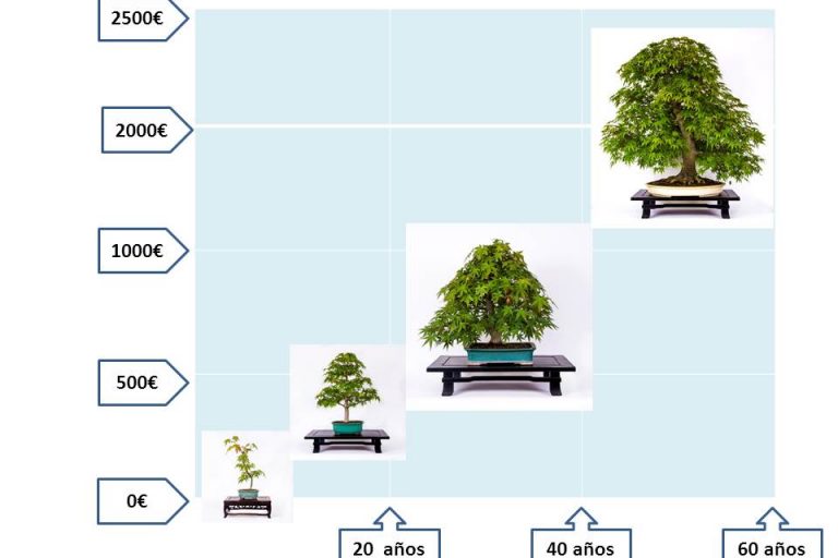 Expectativas y realidad