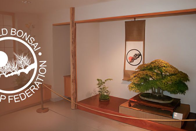 foto-wordl-bonsai-post